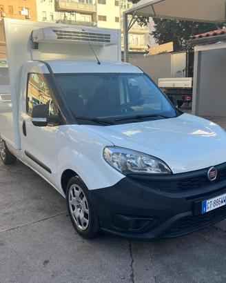 Fiat doblo work-up CELLA FRIGORIFERO