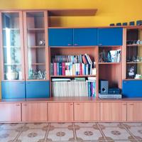 Mobile sala componibile parete