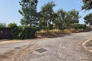 Terreno ( pavona di albano laziale)