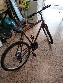 Mountain bike