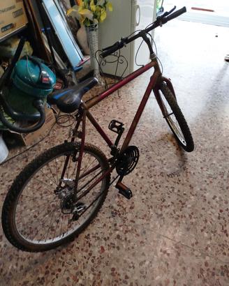 Mountain bike
