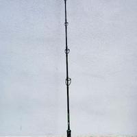 Canna Zeck Belly-Stick siluro