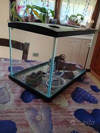 Acquario 15 litri con filtro