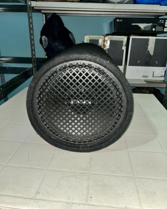 Subwoofer e amplificatore