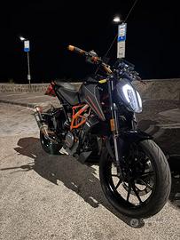 Duke 390 2023