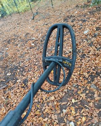 Metal detector