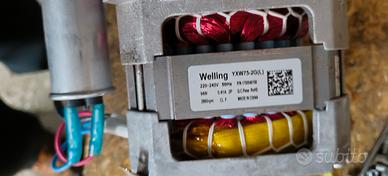 motore lavastoviglie beko