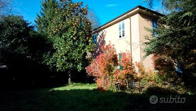 Di sasso in parco centenario