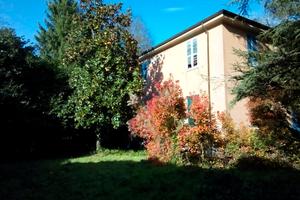 Di sasso in parco centenario