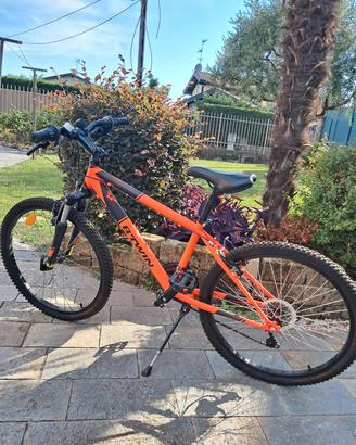 mountainbike 24 pollici