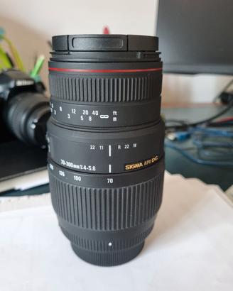 zoom 70-300 Sigma