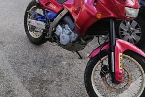 Aprilia pegaso 96