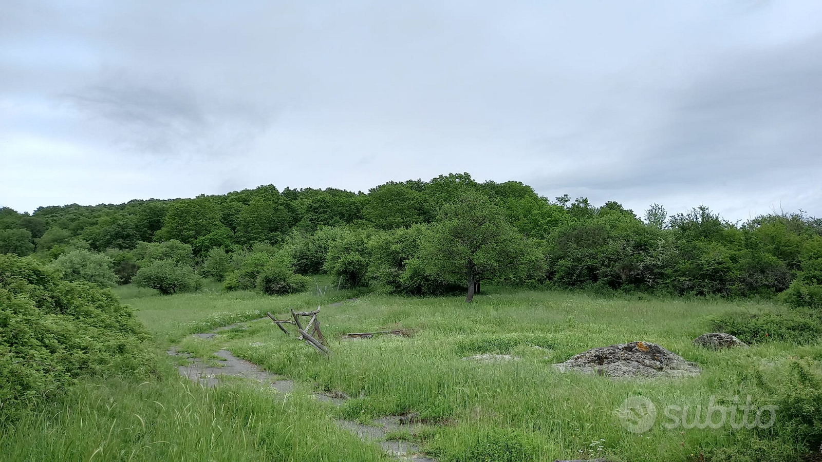 Terreno Agricolo - Vista 3