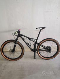 specialized epic expert