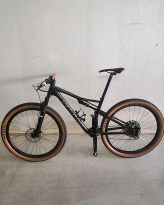specialized epic expert