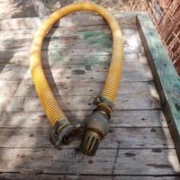 cipolla con tubo giallo