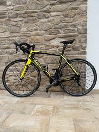 Bici corsa Wilier triestina