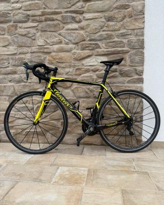 Bici corsa Wilier triestina