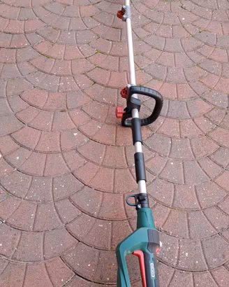 tagliasiepi