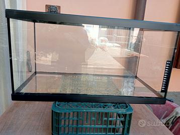 vasca in vetro per acquario