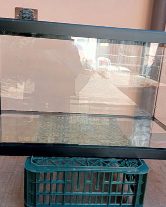vasca in vetro per acquario