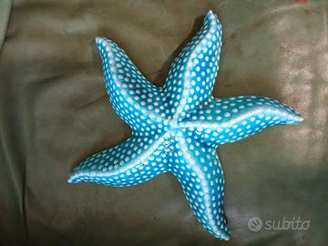 Stella marina in ceramica