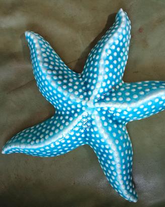 Stella marina in ceramica