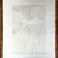 Luca alinari opera unoca 1971 nudo femminile