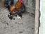 Immagine 4