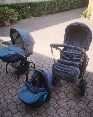 Trio momon vernuji