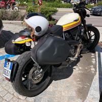 Dicati Scrambler 800 mack 2