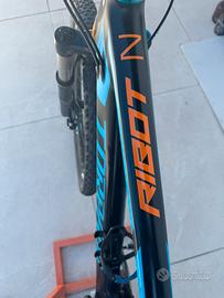 Mountain bike