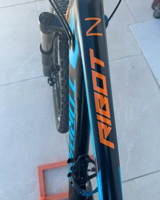 Mountain bike
