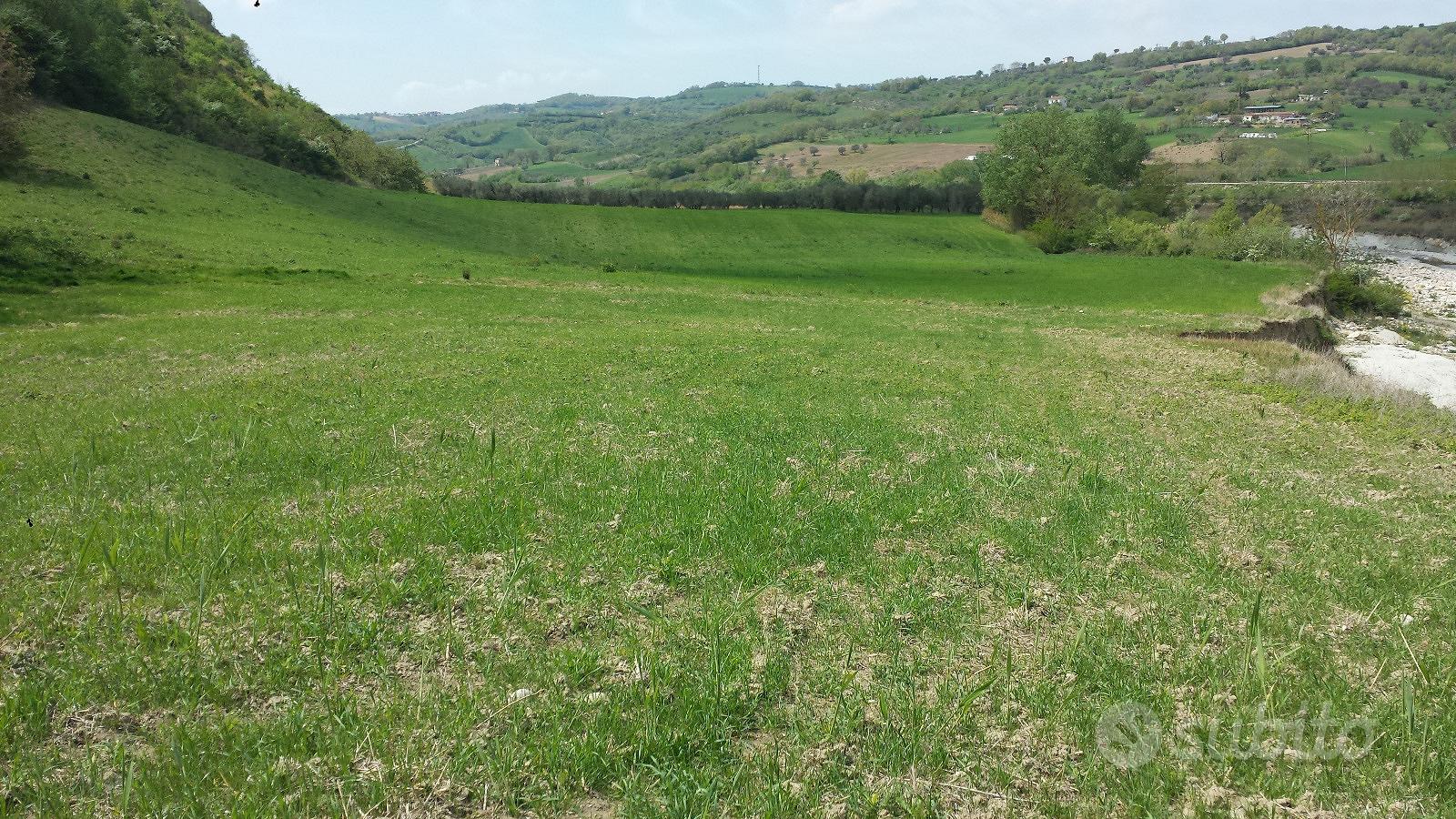 Terreno Agricolo - Vista 6