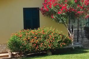 Casa vacanza " La terrazza sul mare"