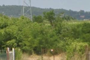 Terreno a Strozzacapponi