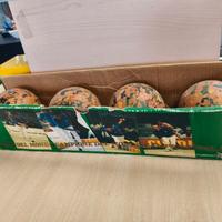 Set di bocce professionale 