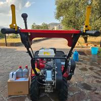 Trincia erba - TT680 motore GX200 Honda