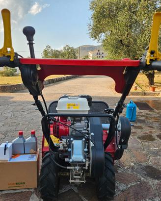 Trincia erba - TT680 motore GX200 Honda