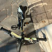 Bottecchia bicicletta per bambini