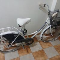 bicicletta revival vintage