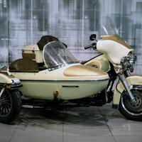 Harley Davidson FLHTC Electra Glide Classic Sideca