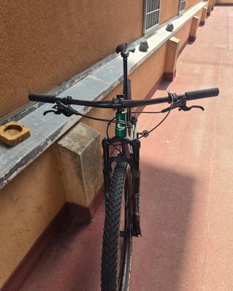 mtb 29 carbonio cannondale f-si