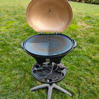 Bbq elettrico 