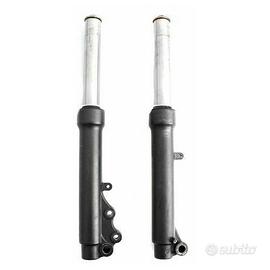 Coppia steli forcella Keeway F-Act Evo Sport