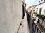 Immagine 13