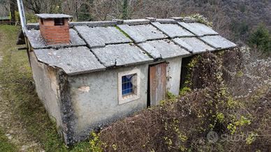 RUSTICO A BOSCO CHIESANUOVA