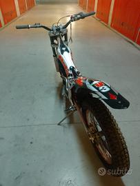 beta rev 3 trial