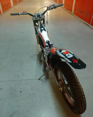 beta rev 3 trial