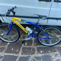 bicicletta da ragazzo